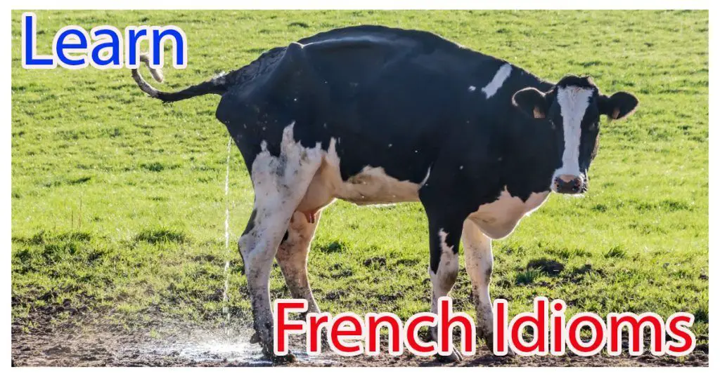 French Idioms