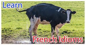 French Idioms