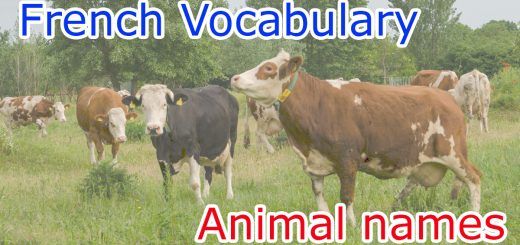 Animal names in French