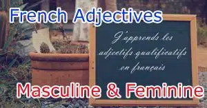Gender rules of Qualifying Adjectives in French