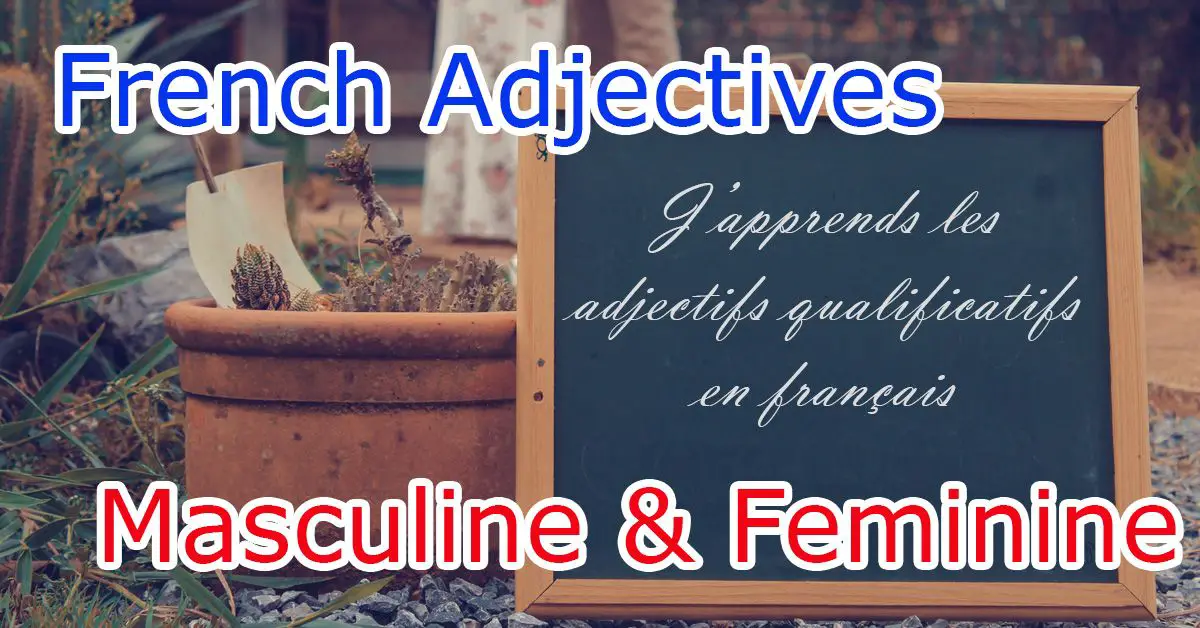 gender-rules-of-qualifying-adjectives-in-french-masculine-and-feminine