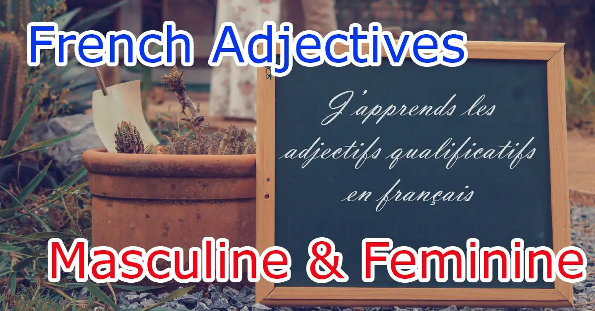 Gender Rules Of Qualifying Adjectives In French Masculine And Feminine