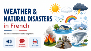 Weather vocabulary in French