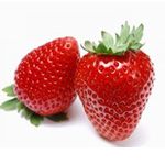 la fraise-the-strawberry
