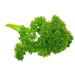 le persil - parsley