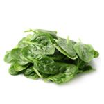 l'épinard-the spinach