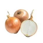 l'oignon-onion